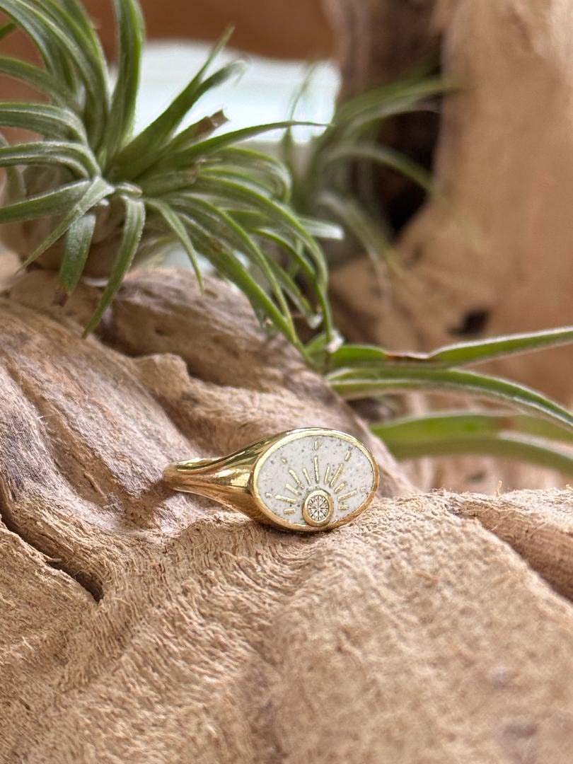 A gold signet ring with an oval face featuring a sunburst design and a small bezel-set diamond.  The ring is inlaid with white enamel mixed with a dog's ashes.  The ring is resting on textured wood with green air plants in the background.